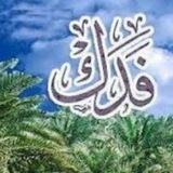 موسسه خیریه فدک
