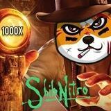 🪖🪖SHIBNITRO ENTRY