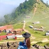 iran_shomal_pic
