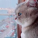 دوره های درخواستی