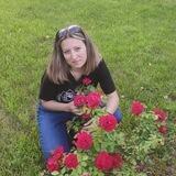 Jennys_book_life_про_книги