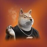 ElonShib Chinese