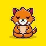 Raccoon Inu - Entry Portal