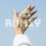 Rumiy Aforizmlari
