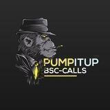 PumpItUpBSC Calls🚀