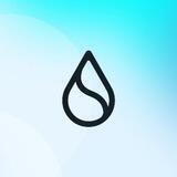 Sui Network