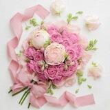🍃🌸لا نبرح حتى نبلغ 🌸🍃