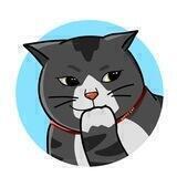WittyCat | Stealth Launch Soon