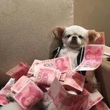 【澜爱】微信小程序日赚500