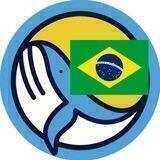 ArtKit Brazil
