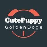 可爱狗Cute_Puppy|潜力发掘