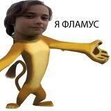 Флучмус