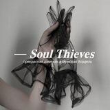 — Soul Thives (м).