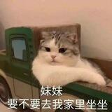 小樂云加速交流群