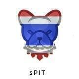 Pitbull Thailand