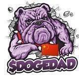 ＄DogeDad 狗爸 中文社区🇨🇳
