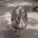 ZooAlmaty