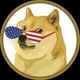 Firecracker DOGE (Happy 4th of July 🧨)