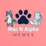 Mac N Alpha Memes