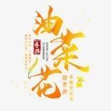海外素材(分享)