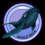 WhaleGrow Official