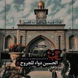 ستوريات و رمزيات حسينية❤️