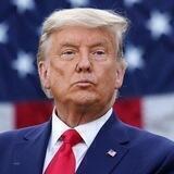 Donald Trump Live News