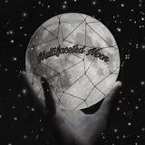 Multifaceted Moon