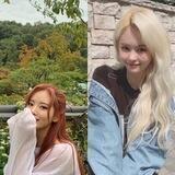 @paukjiwon