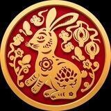 Rabbit 23 BSC Global Group