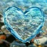 ~نَبْضُـ💗ـالحَيـاة~