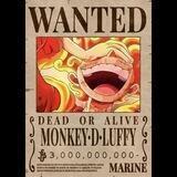 Luffy 2.0(Yonkou) Portal