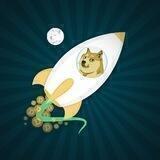 MOON DOGE | Portal