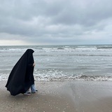عقل‌نگر، دل‌نگار|مهدیس اقبال
