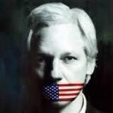 Revealing Wikileaks Files