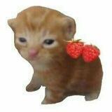 @Cutwe