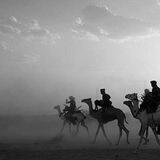 ڪُنَّاشَة اليَمَانِيَّـة
