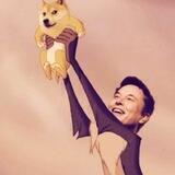 Dogelon Inu