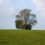 Silbenfee