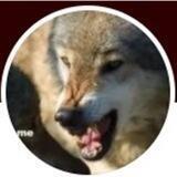 I Am 2.2 CHAT GROUP