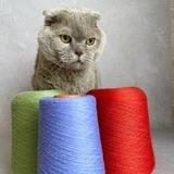 Basya_yarn