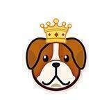 👑DogeKing Global (EN)
