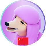 POODLEFI | CHINESE COMMUNITY
