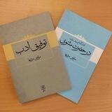 در حضرت مثنوی