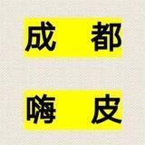 成都已验证嗨皮哥