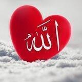 القران نور قلبي 🌹