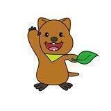 Quokka Network