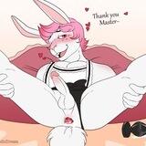🐰❤️Gay Bunnies❤️🐰