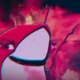 شارک الاینس | SHARK ALLIANCE