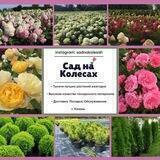 «Сад на колесах», г. Казань.